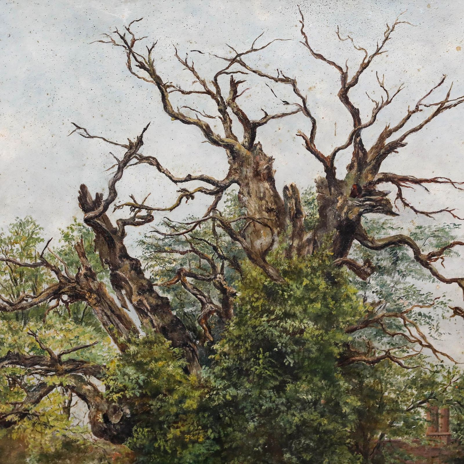 G. Warren   Framed 20th Century Oil, The Forgotten Oak. photo Art