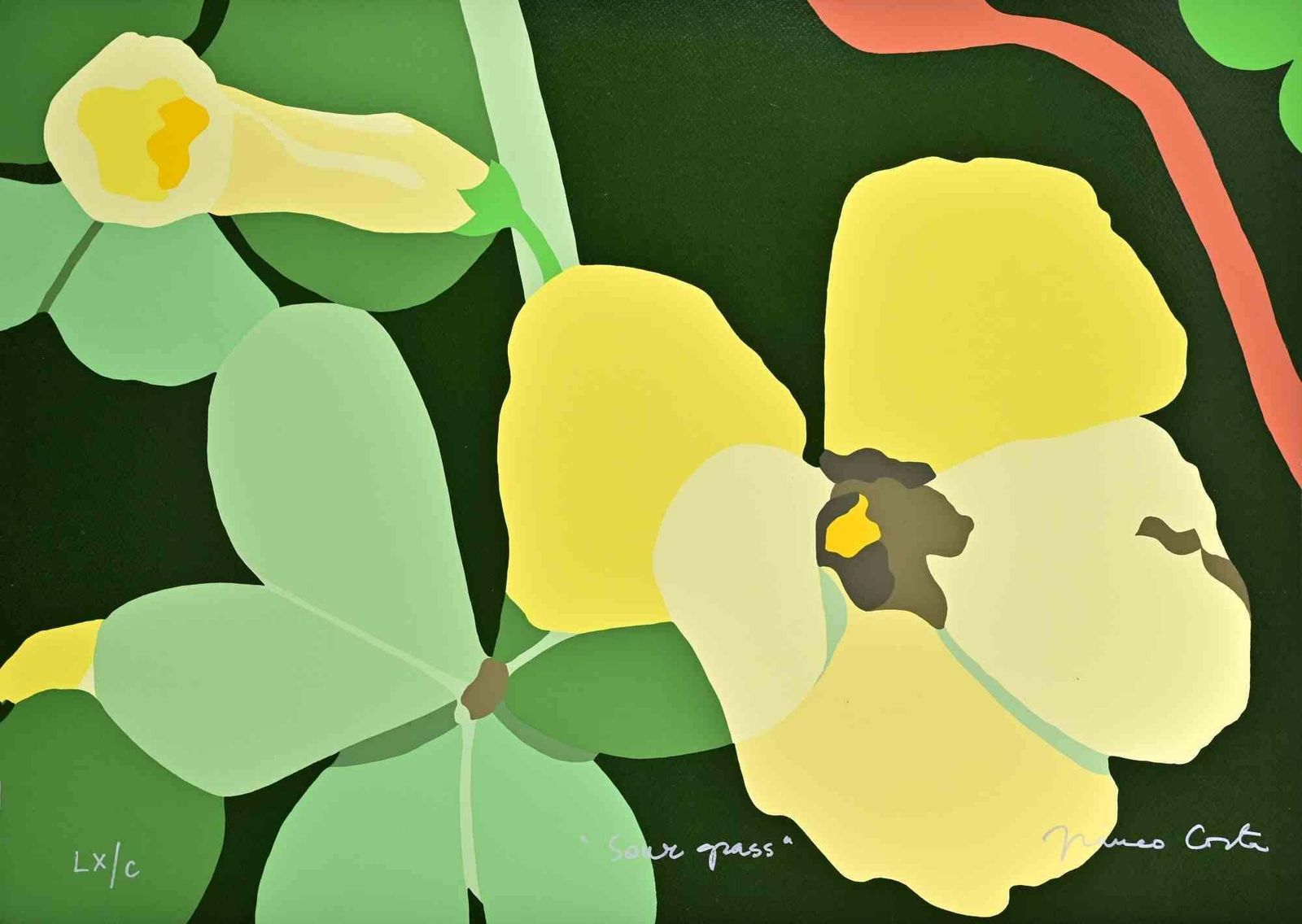 Franco Costa Sour Grass   Screenprint By Franco Costa   1990s.