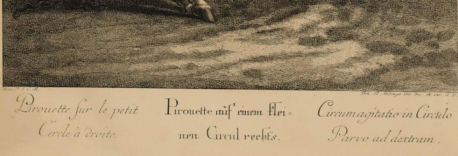 Johann Elias Ridinger (1698 1767)   Engraving, Pirouette On The Small Circle photo buy