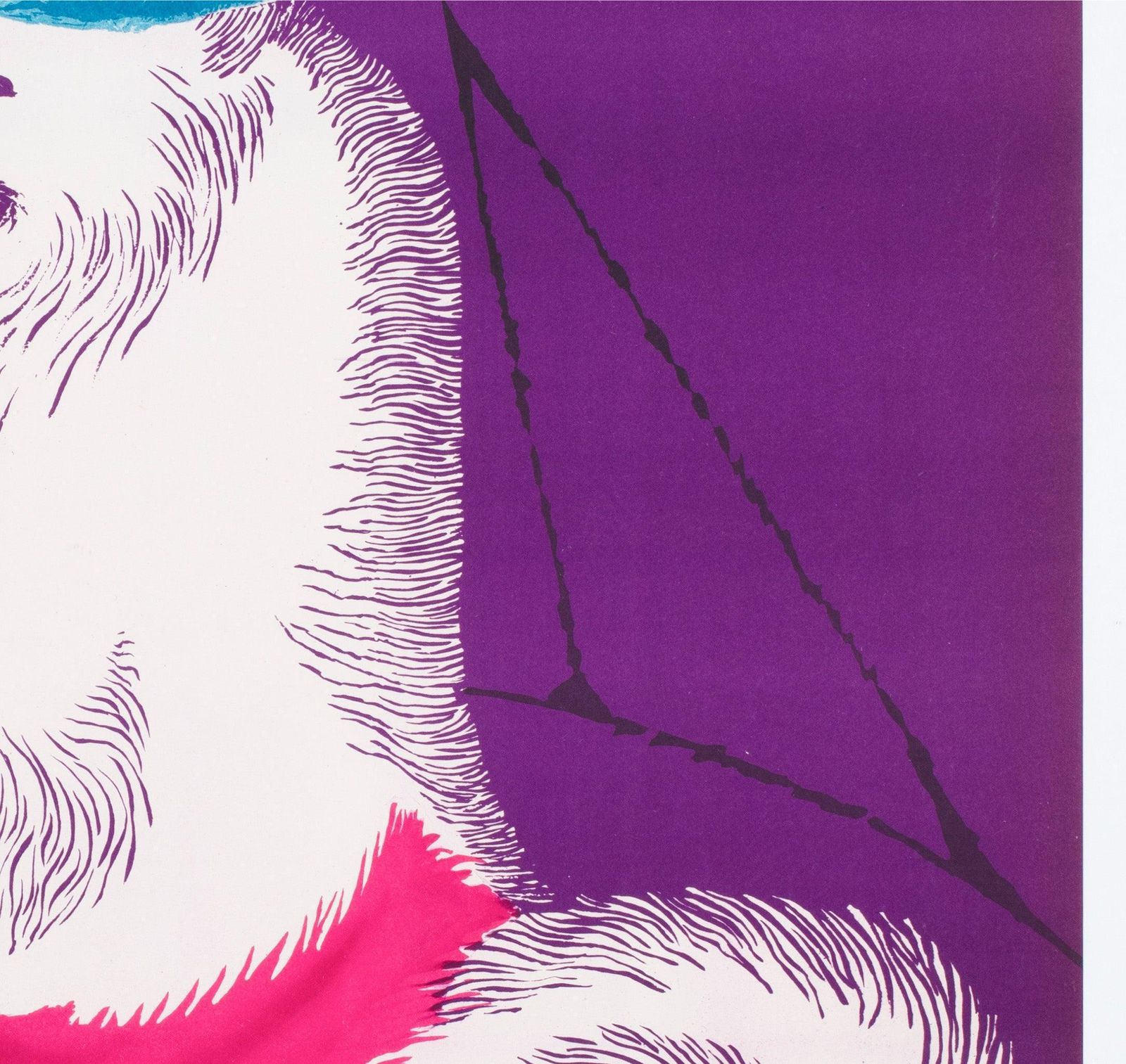 Cyrk Samoyed Cycling 1965 Polish Circus Poster, Gustaw Majewski photo vinterior