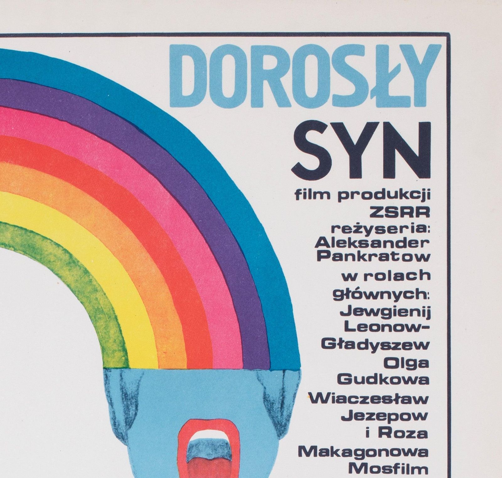 Grown Up Son (Vzroslyy Syn) 1980 Polish B1 Film Poster, Maria Ihnatowicz photo Art