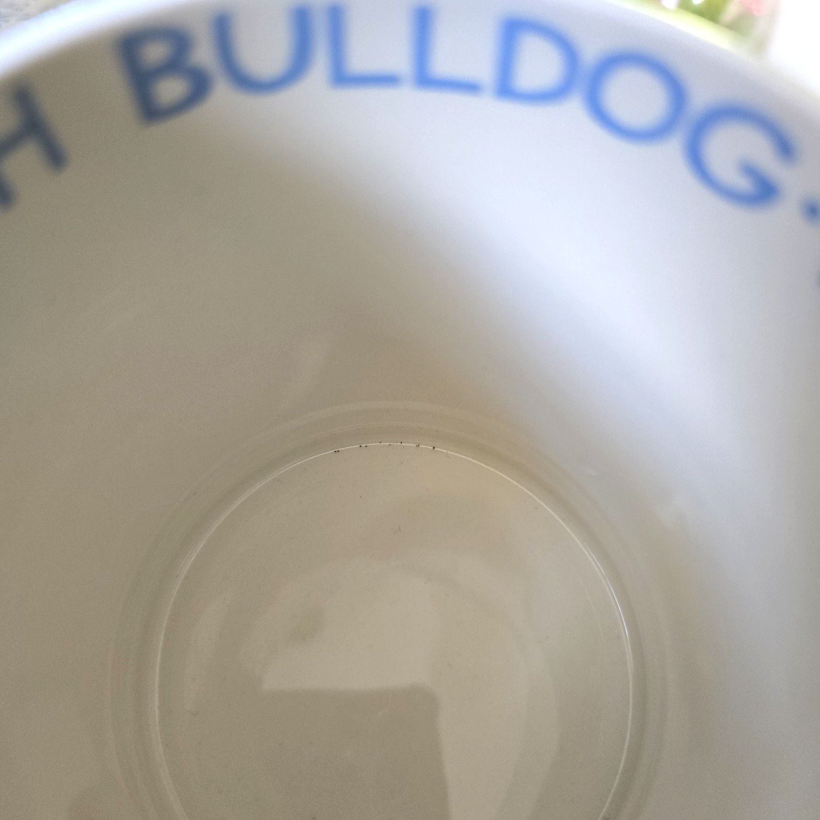 Emma Bridgewater French Bulldog 1/2 Pint Mug Very Rare photo 79.0