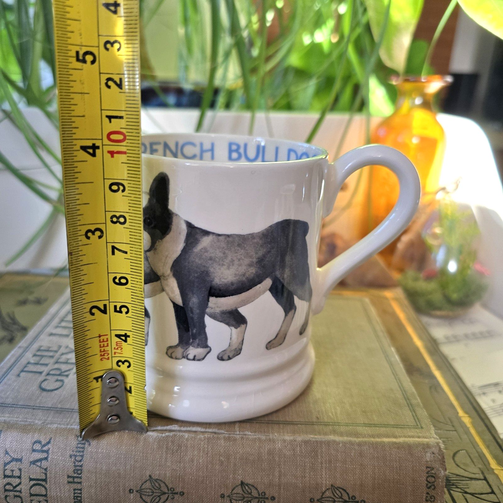 photo furniture Emma Bridgewater French Bulldog 1/2 Pint Mug Very Rare