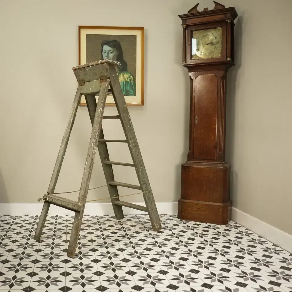 Step Ladders Ideal Clothes Horse Retail Display Clothes Or Plant Stand photo for sale