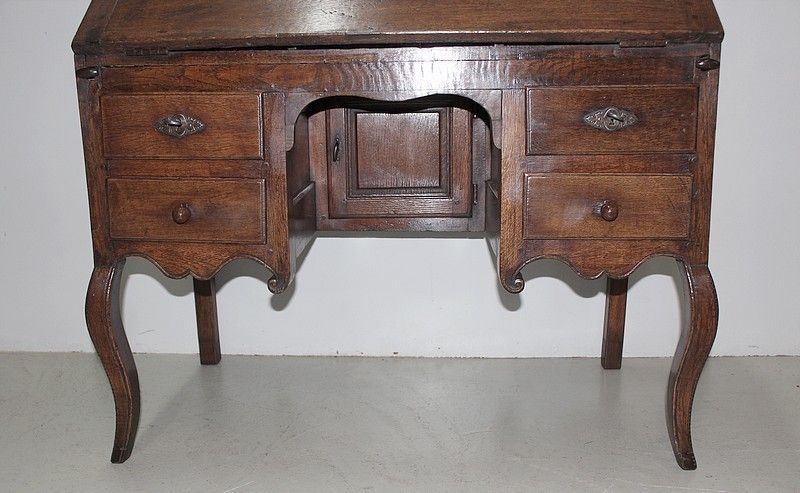 18th Century Oak Slope Office photo for sale