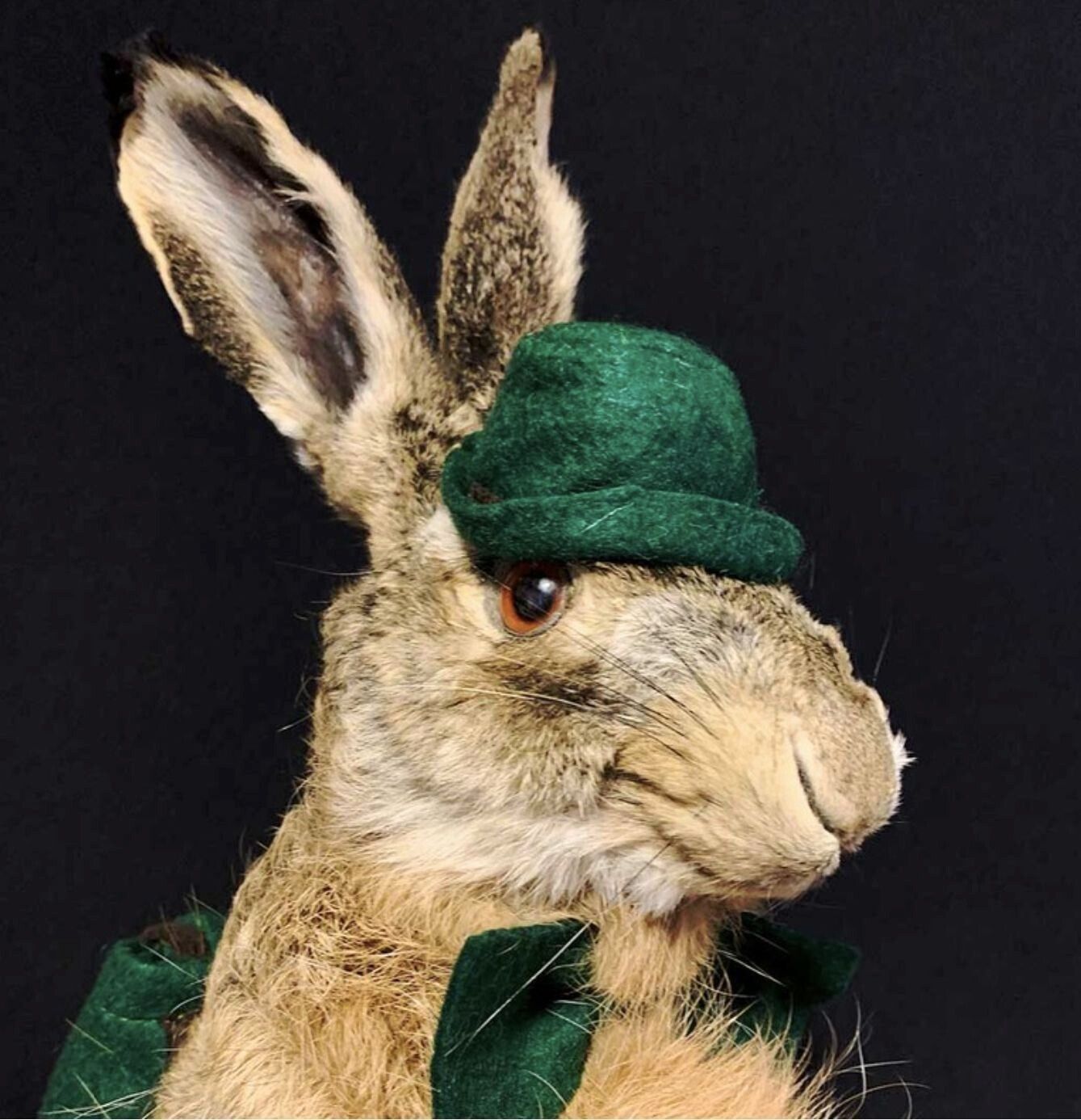 Vintage Mr Hare With Rifle photo furniture