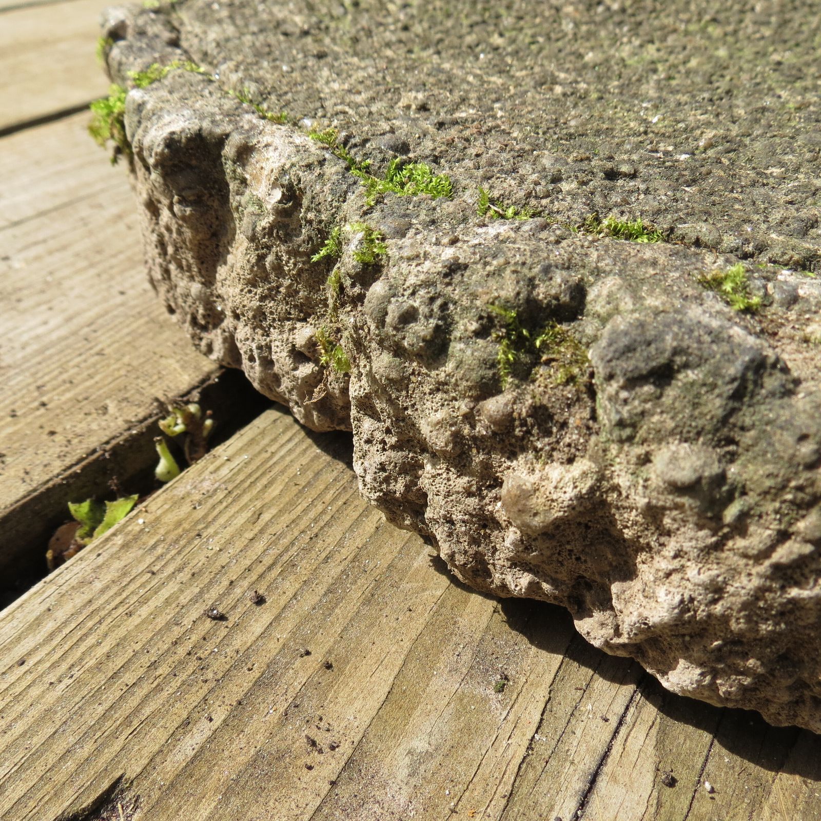 Set Of 10 Stepping Stone Concrete Wooden Form 1970s photo vinterior