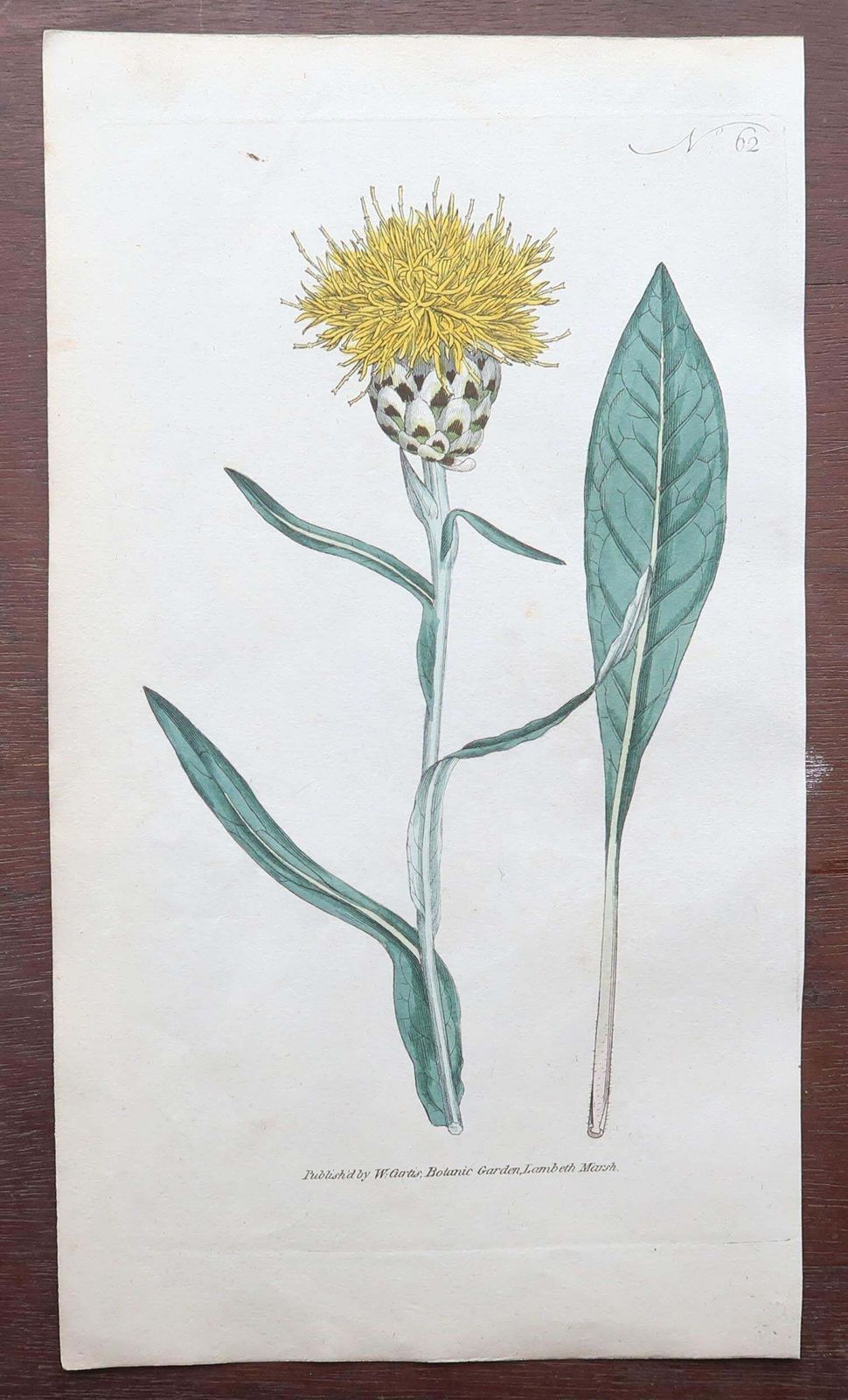 Set Of 12 Original Antique Botanical Prints After Sowerby. English 18th Century photo vinterior