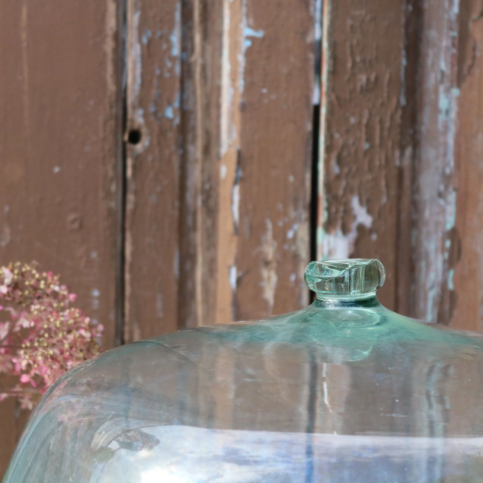 Early 20th Century French Hand Blown Glass Garden Cloche photo Garden Decor