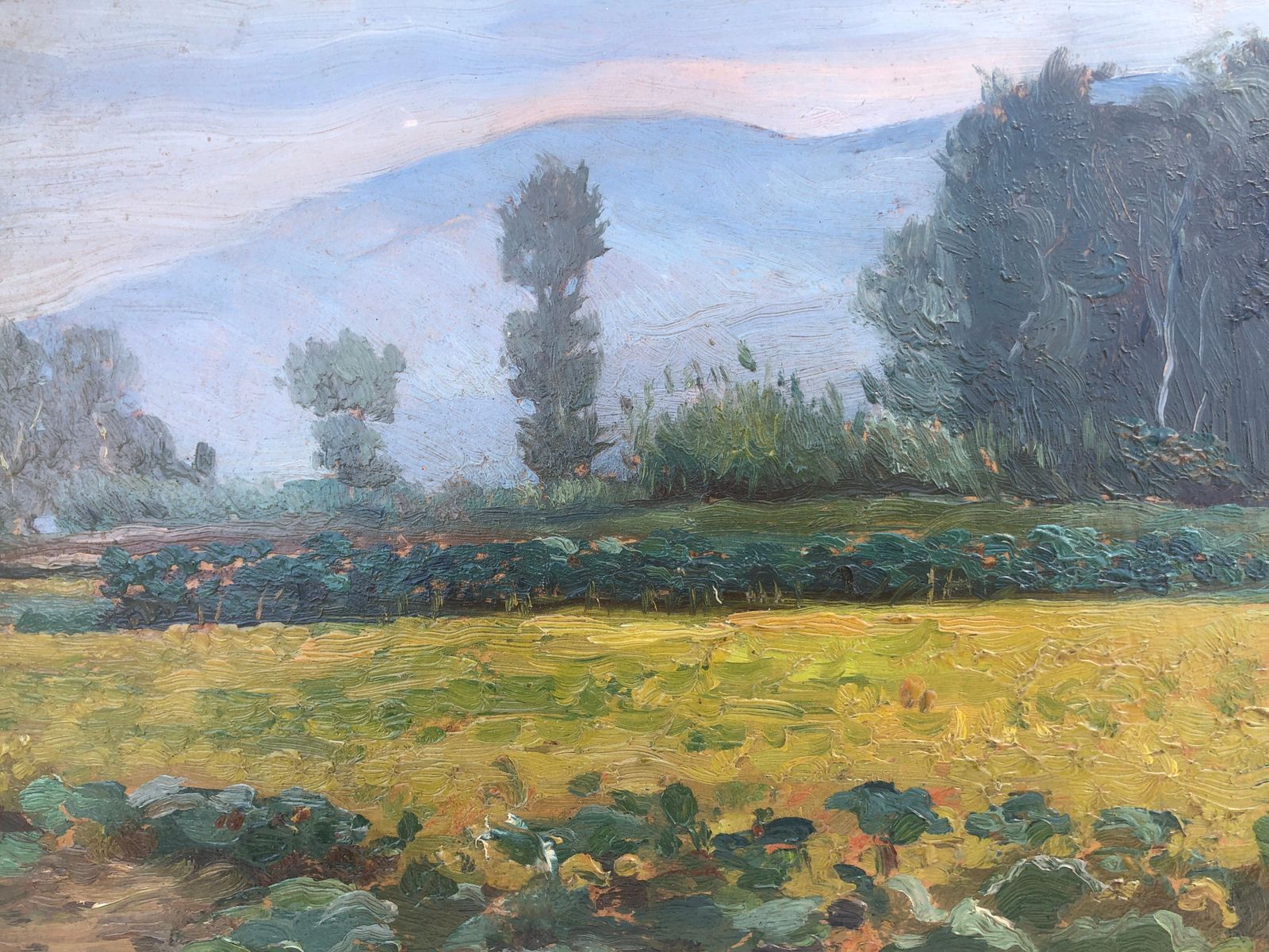 Albert Rafols Culleres Catalan Landscape Oil Painting Mollet Barcelona Fauvist Modernist Spain C.1935 photo buy