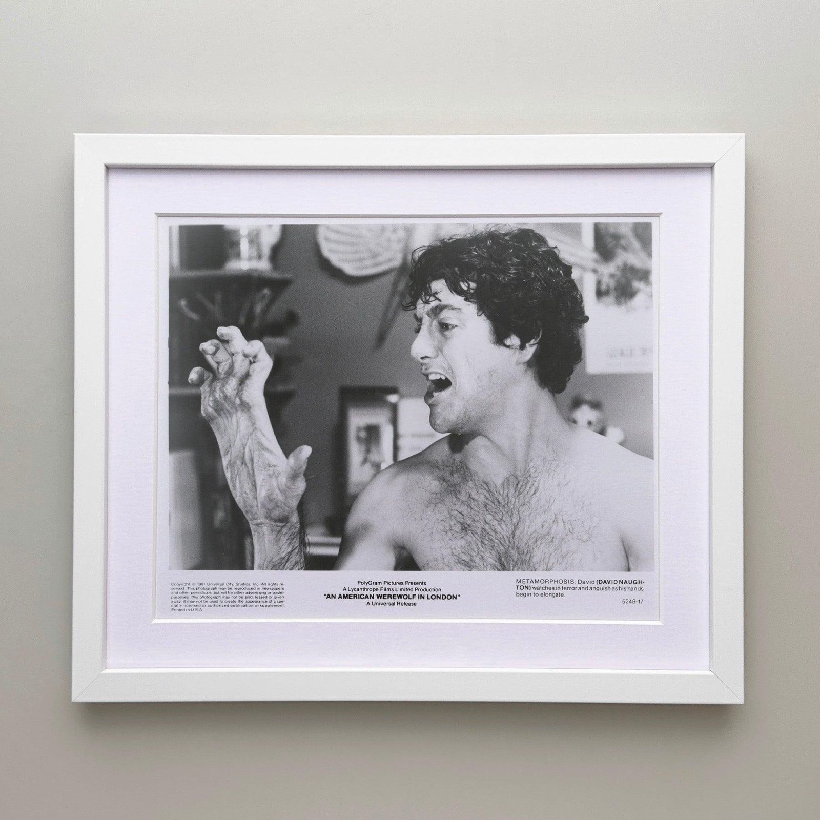An American Werewolf In London (1981) Press Publicity Still   Framed photo for sale