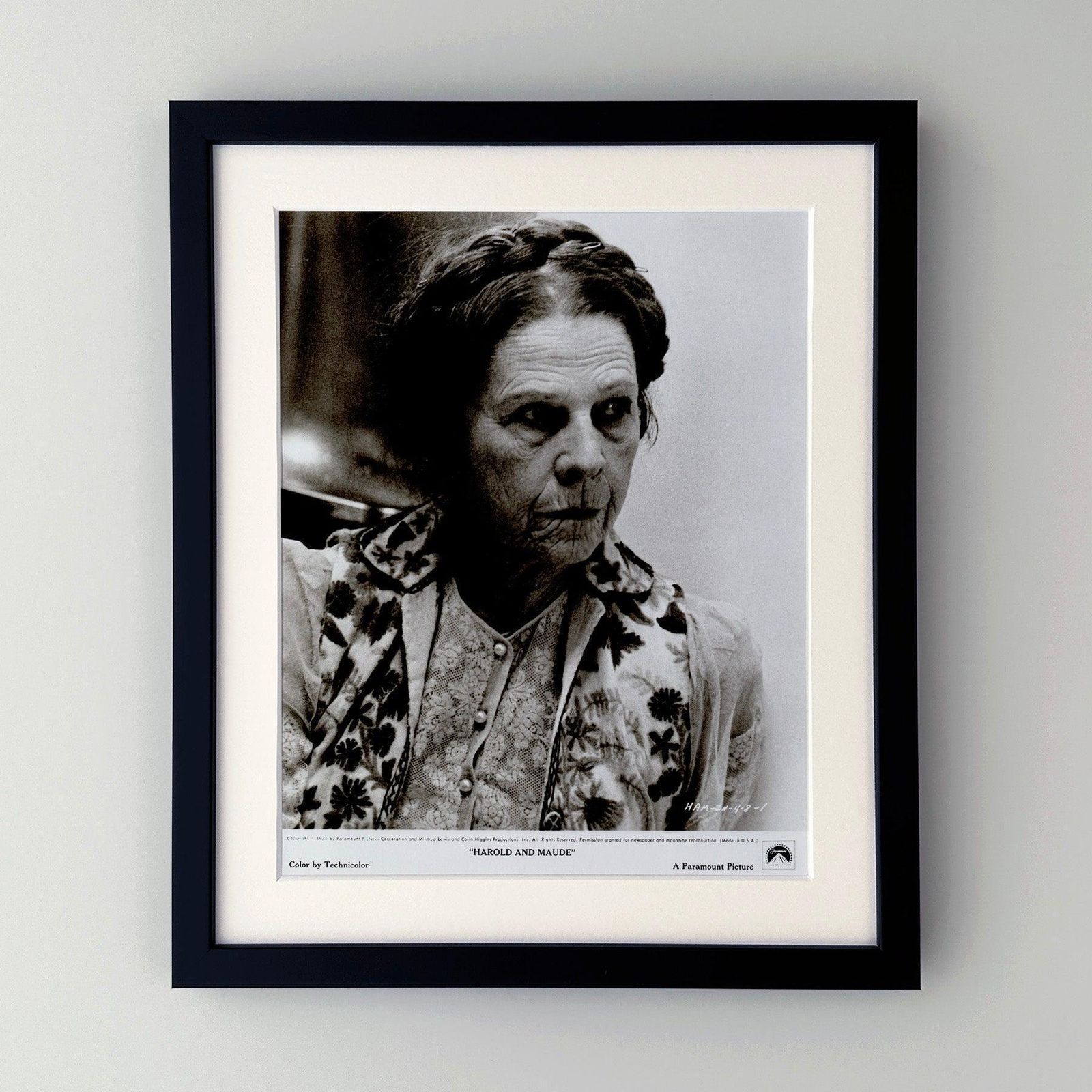 Harold And Maude (1971) Press Publicity Still, ingelijst photo furniture