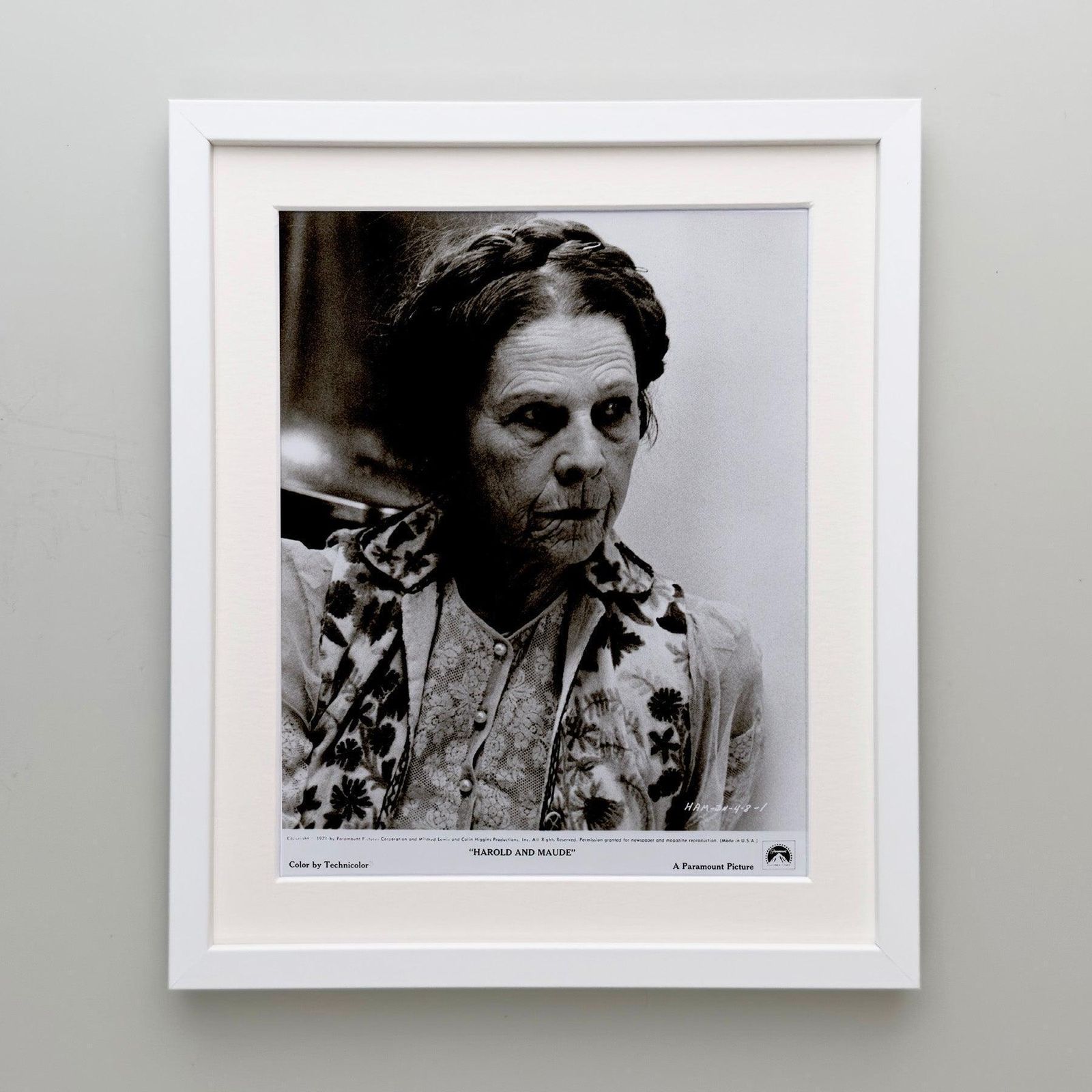 Harold And Maude (1971) Press Publicity Still, ingelijst photo Kunst
