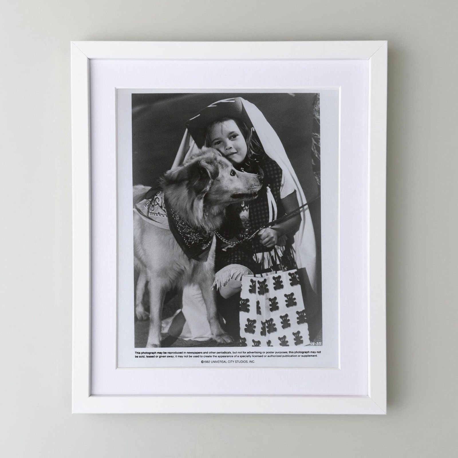 Et 1982 Press Publicity Still   Framed photo for sale