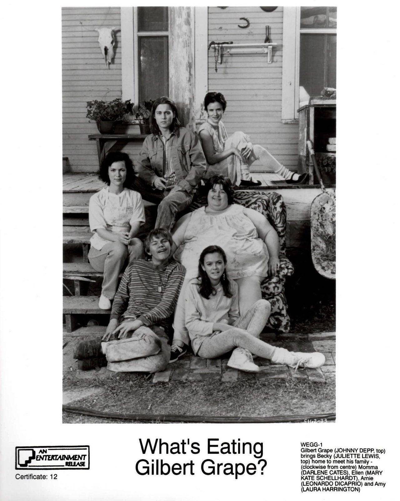 Photo de presse originale encadrée, What's Eating Gilbert Grape, 1993 photo vinterior