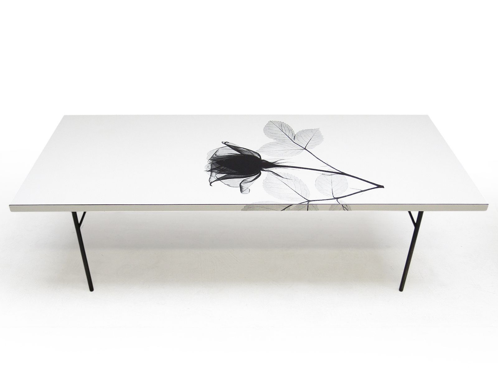 1960s Rectangular White Rose Coffee Table By Terence Conran photo buy