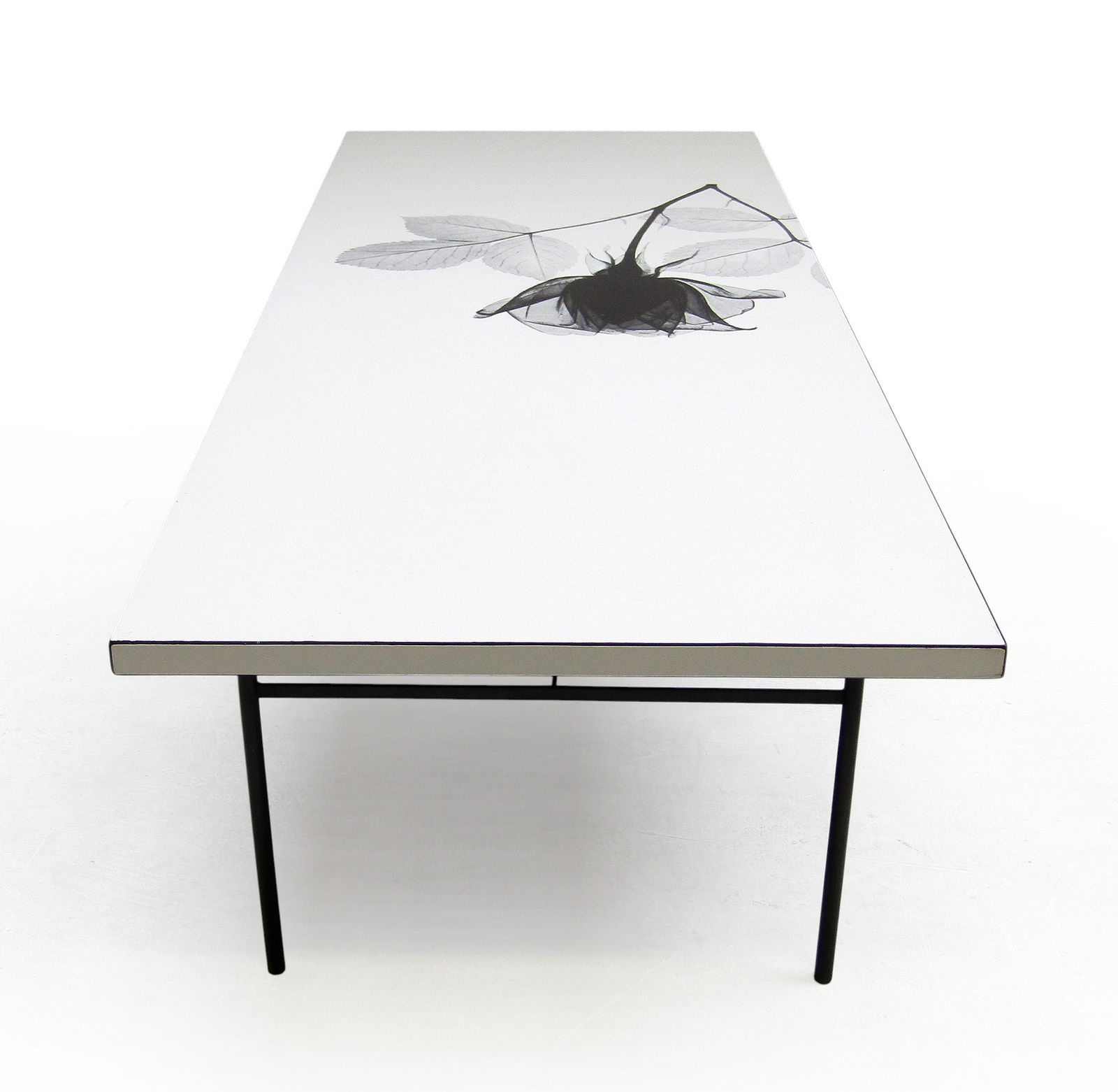 photo furniture 1960s Rectangular White Rose Coffee Table By Terence Conran