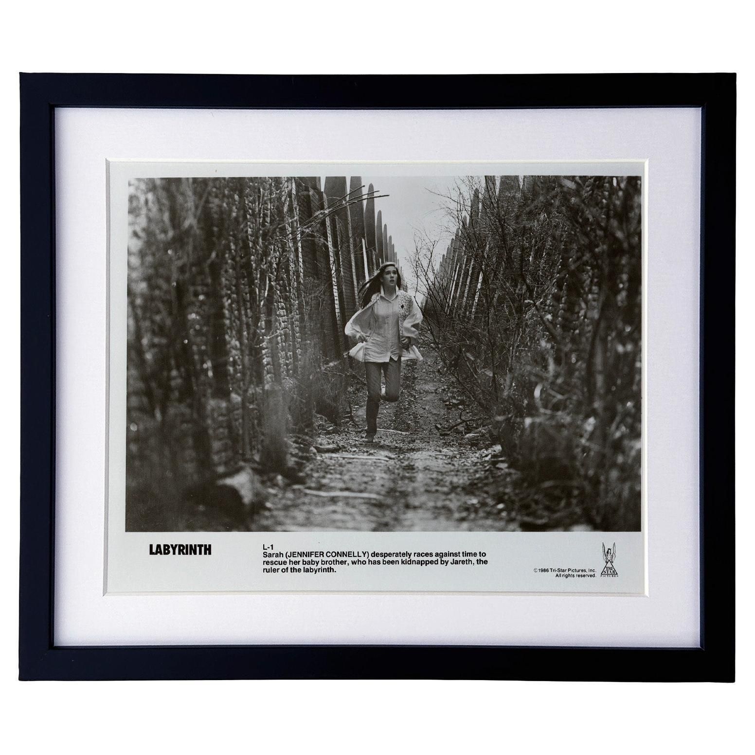 Labyrinth 1986 Publicity Film Movie Press Still Framed