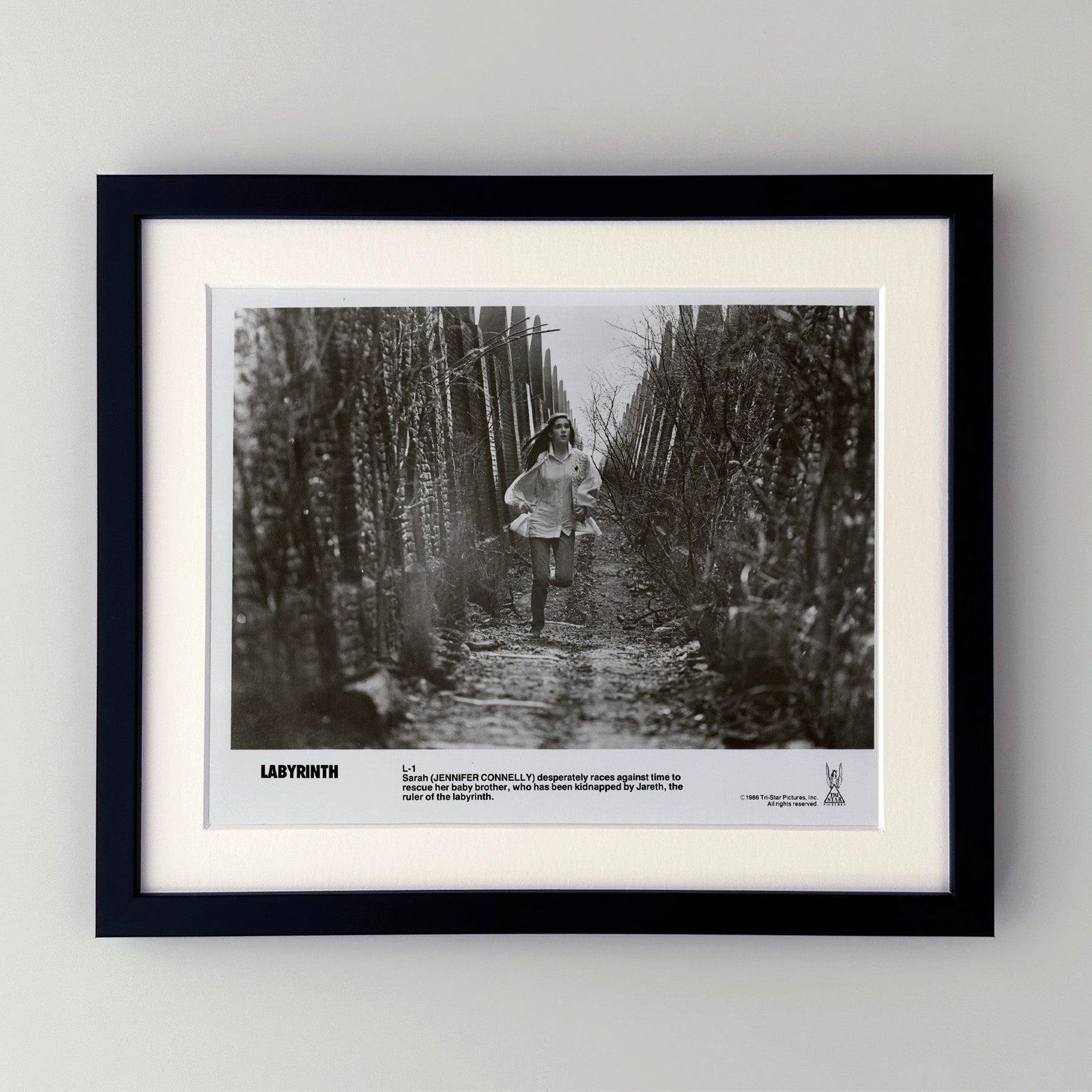 Labyrinth 1986 Publicity Film Movie Press Still Framed photo furniture