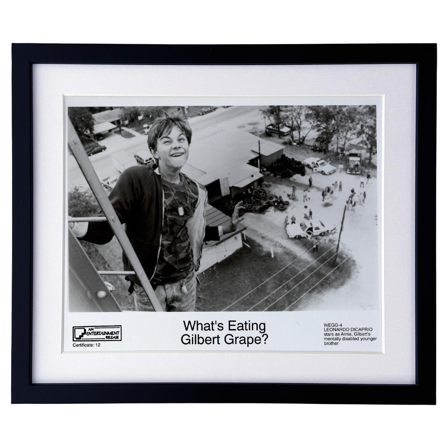 What's Eating Gilbert Grape 1993 Publicity Film Movie Press Still Framed