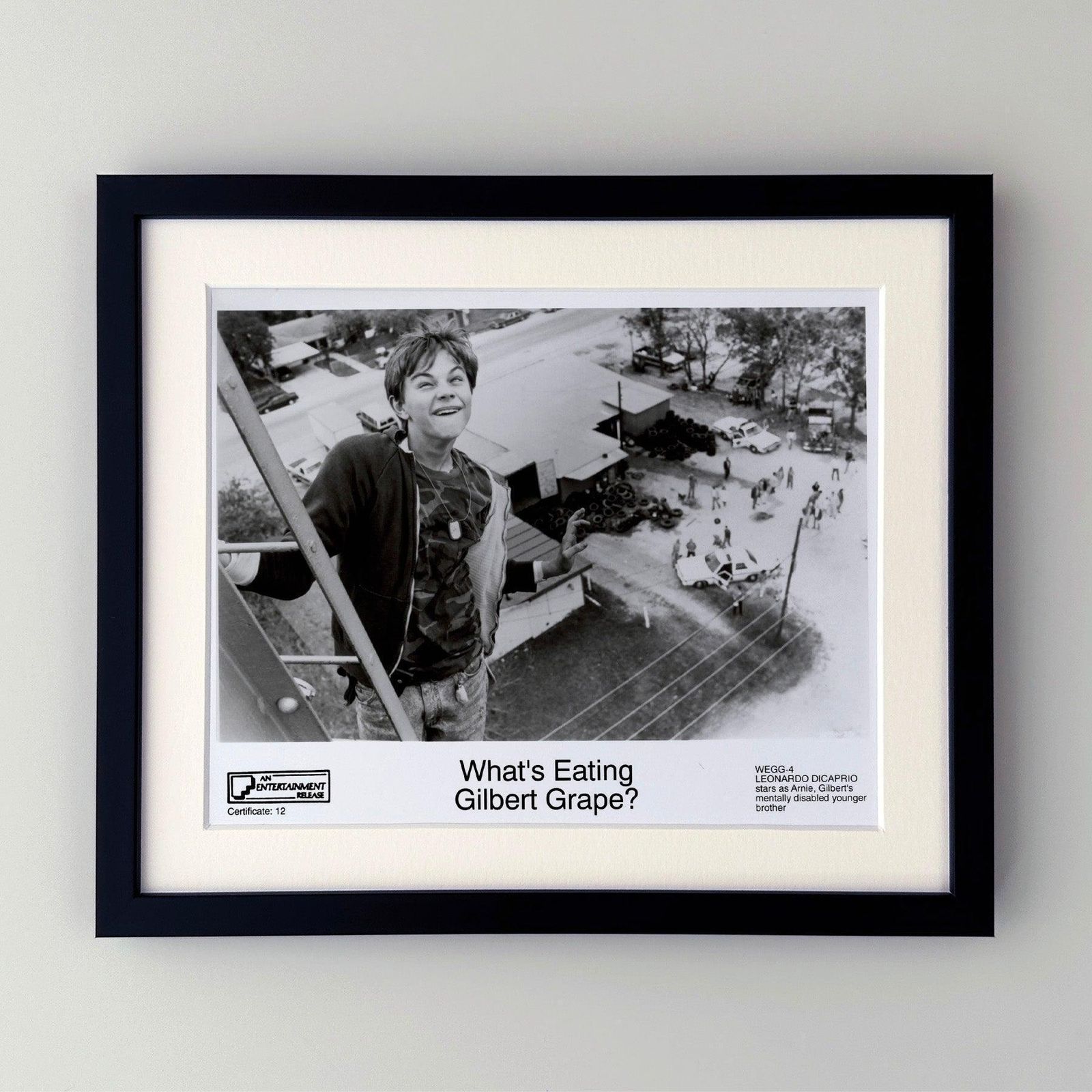 What's Eating Gilbert Grape 1993 Publicity Film Movie Press Still Framed photo furniture