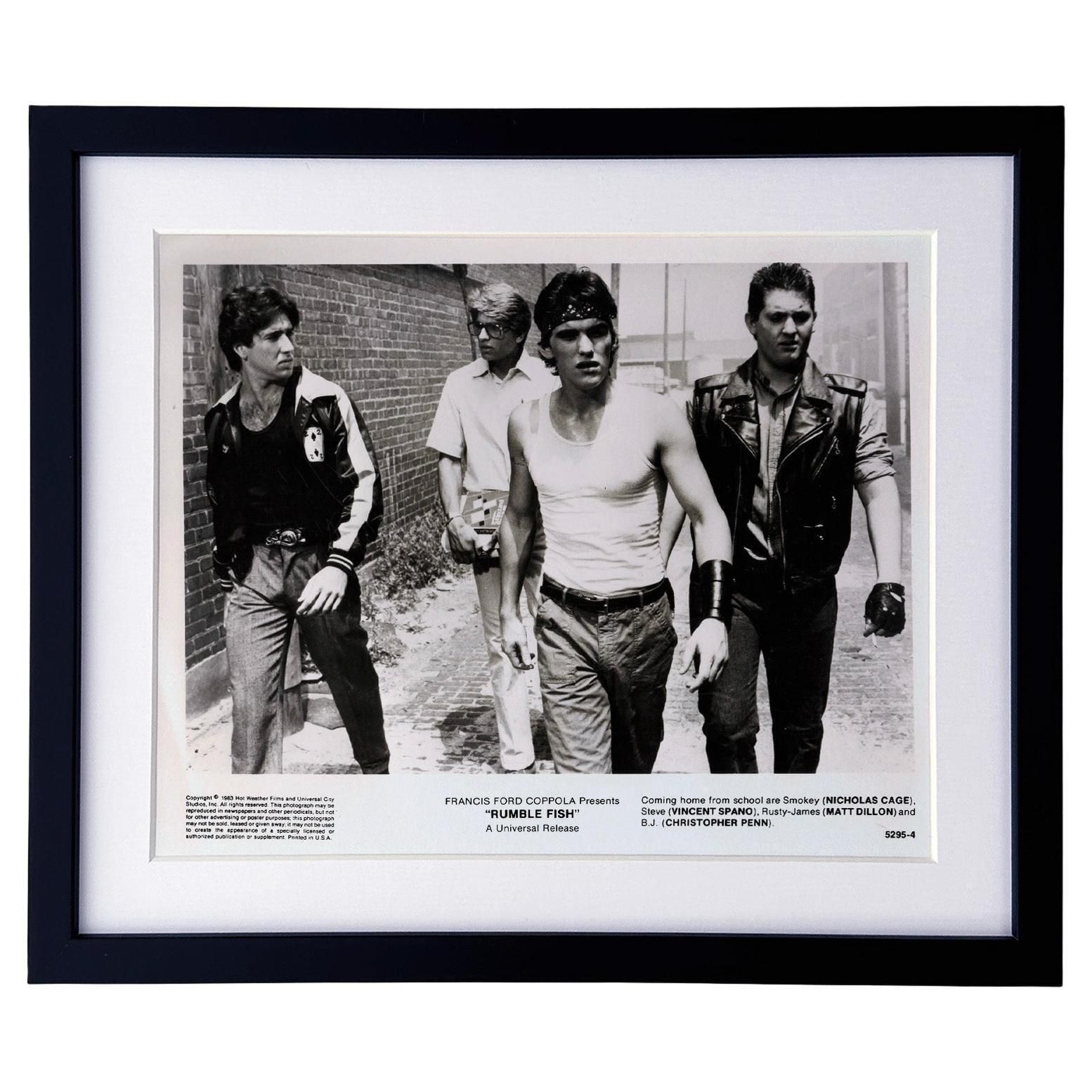 Rumble Fish 1983 Publicity Film Movie Press Still Framed