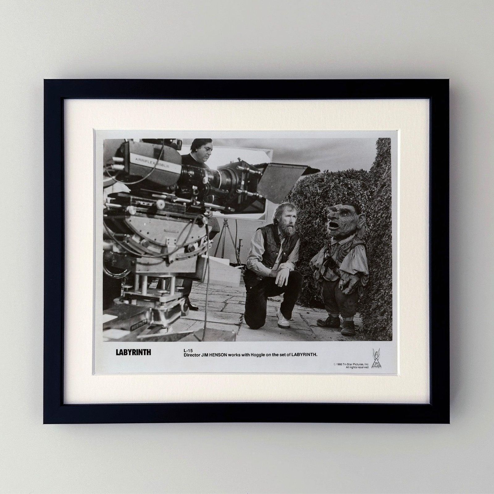 Labyrinth 1986 Publicity Film Movie Press Still Framed photo furniture