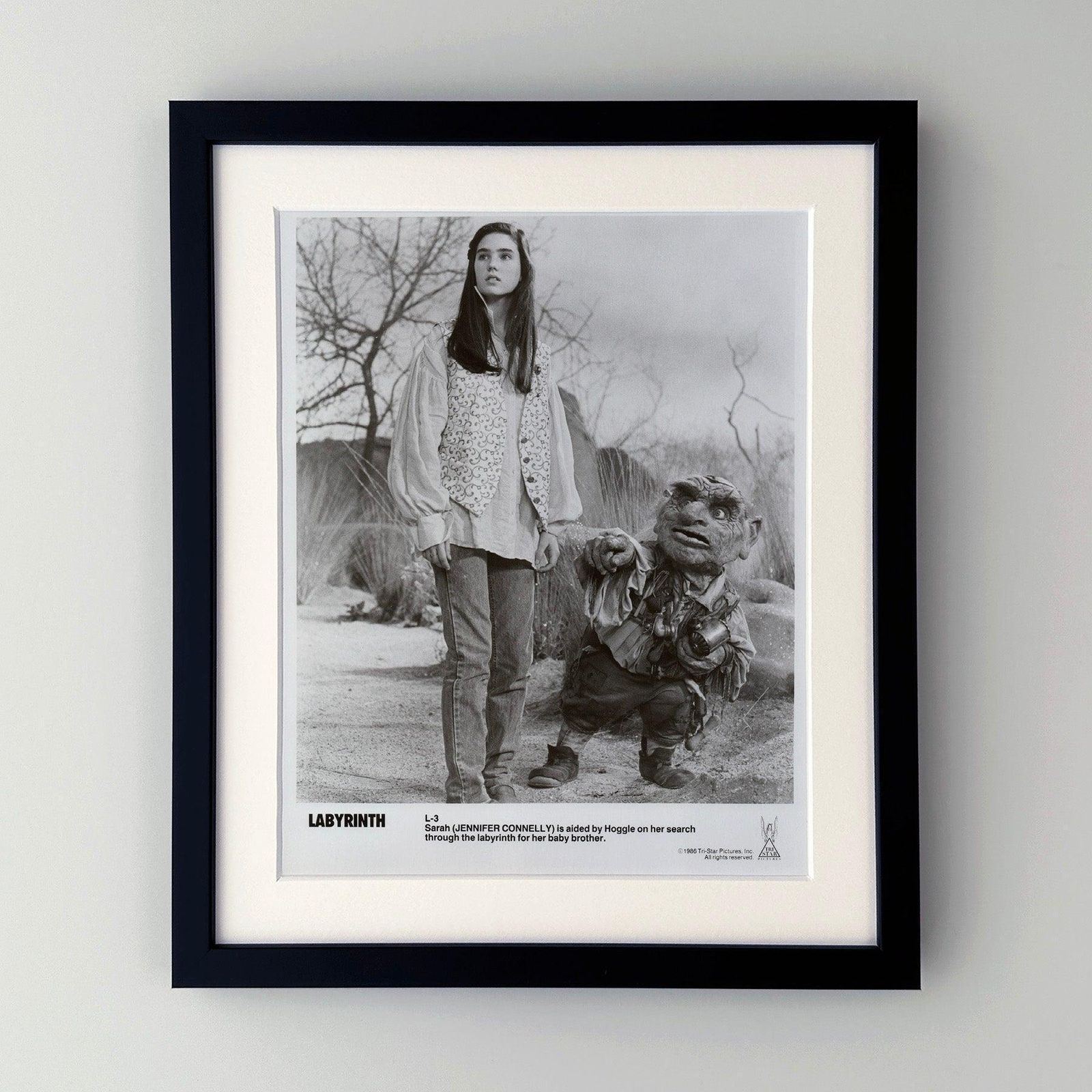 Photo de presse encadrée, Labyrinth, 1986 photo furniture