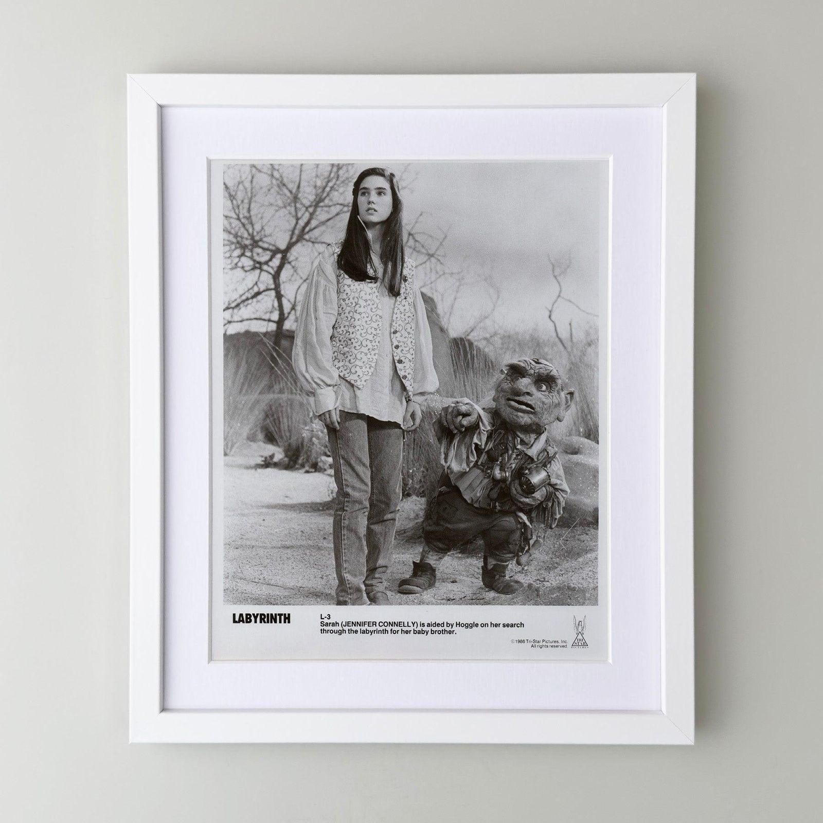Photo de presse encadrée, Labyrinth, 1986 photo for sale