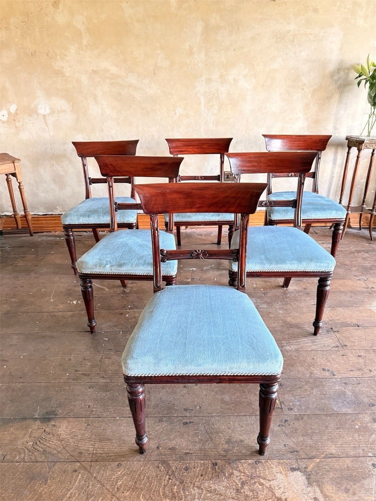 English Matching Set Of 6 Antique Mahogany Regency Blue Dining Chairs 1820c photo furniture