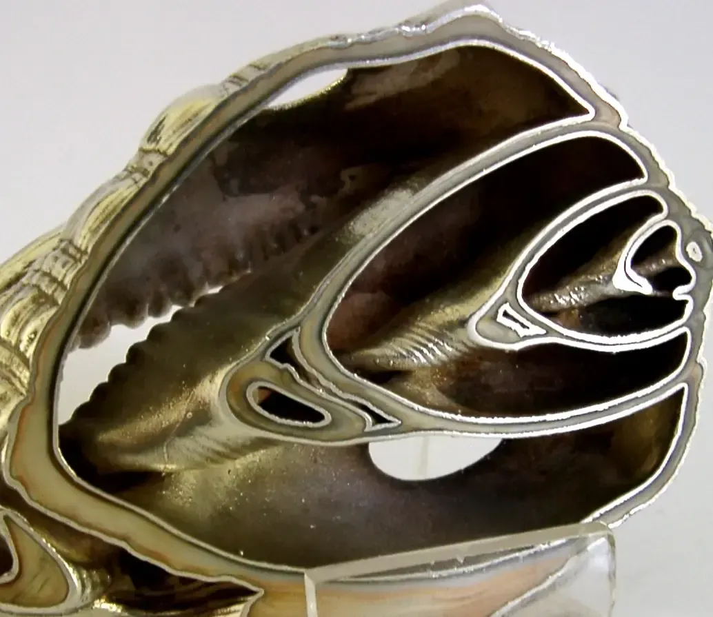 Zeldzaam briefbeswaartje in Britannia-zilver, schelpmotief, stijl Ross Morgan, Londen 1994, 3,5 inch photo for sale