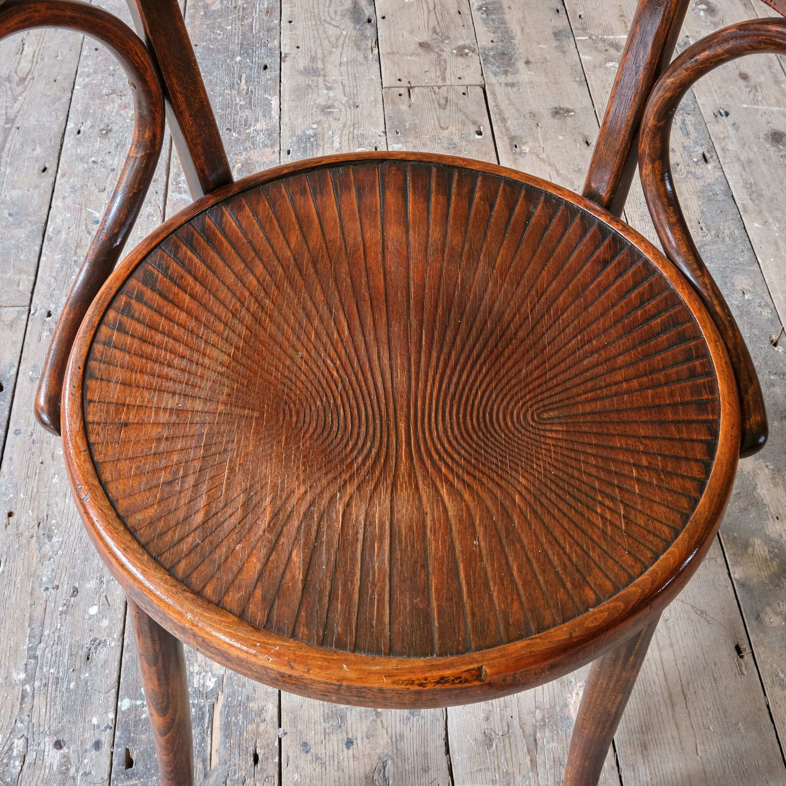 photo furniture Early 20th Century Grotto Style Carver Chair