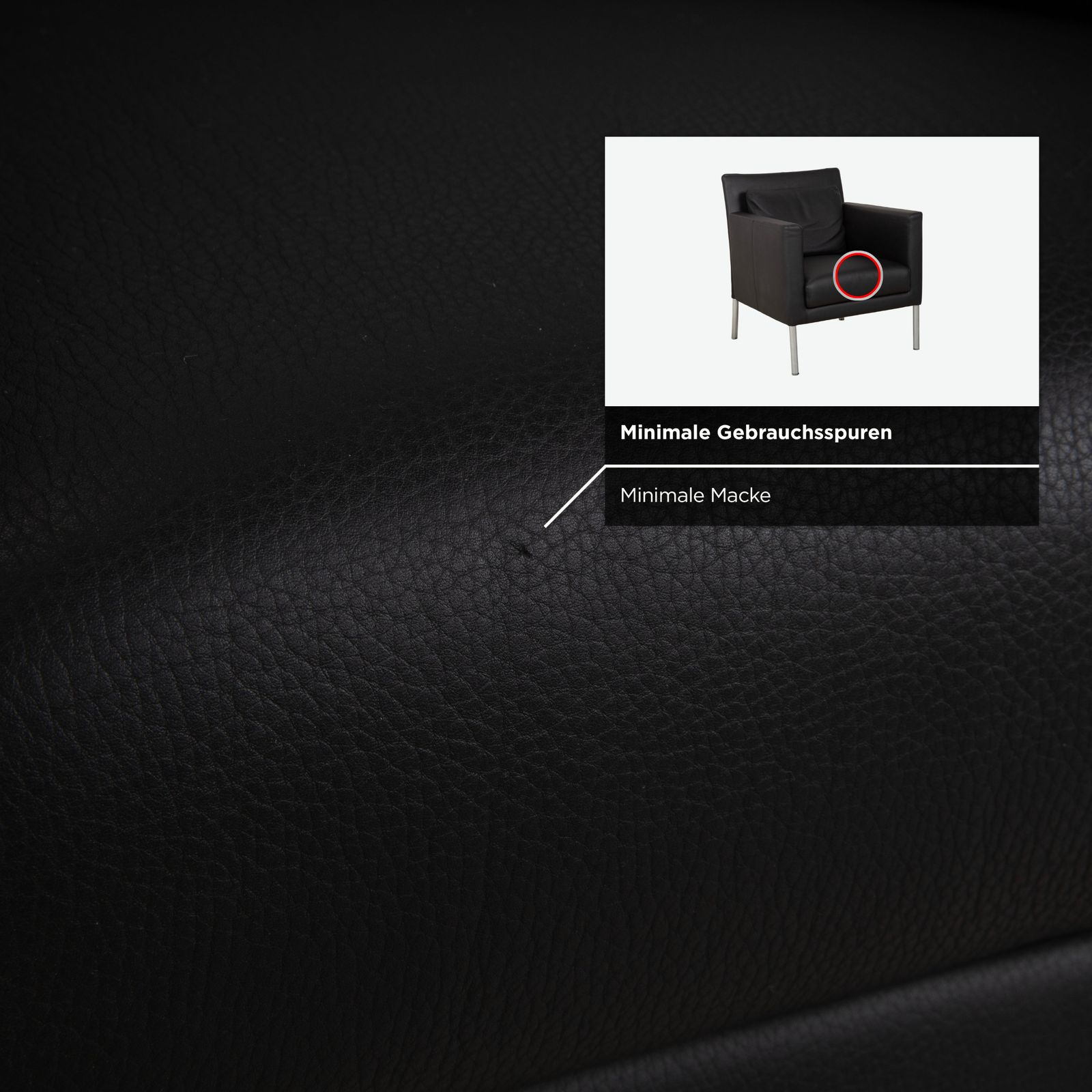 Walter Knoll Jason Leather Armchair Black Nappa Leather Frame Metal photo buy
