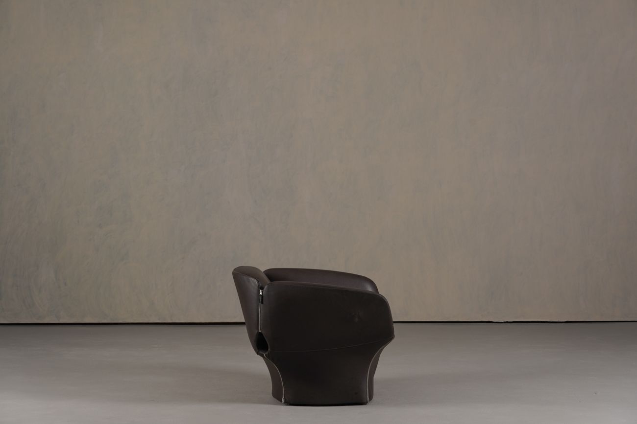Bloomy Armchair By Patricia Urquiola photo vintage
