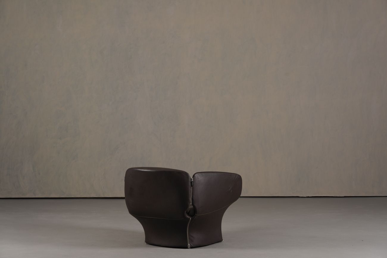 photo furniture Bloomy Armchair By Patricia Urquiola