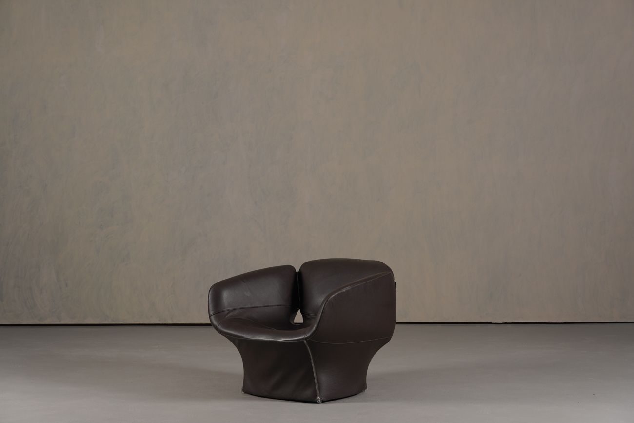 photo vinterior Bloomy Armchair By Patricia Urquiola