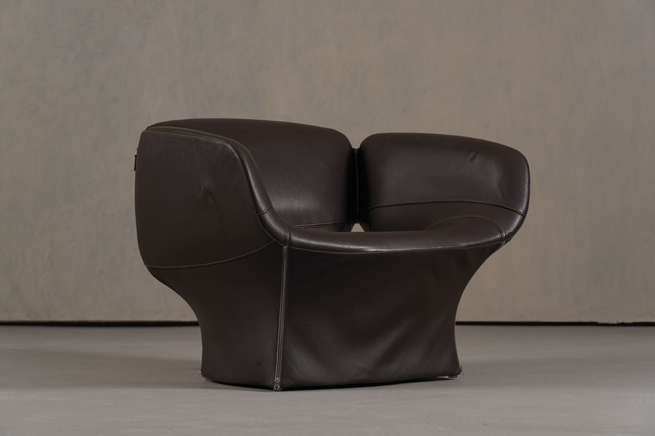 photo buy Bloomy Armchair By Patricia Urquiola