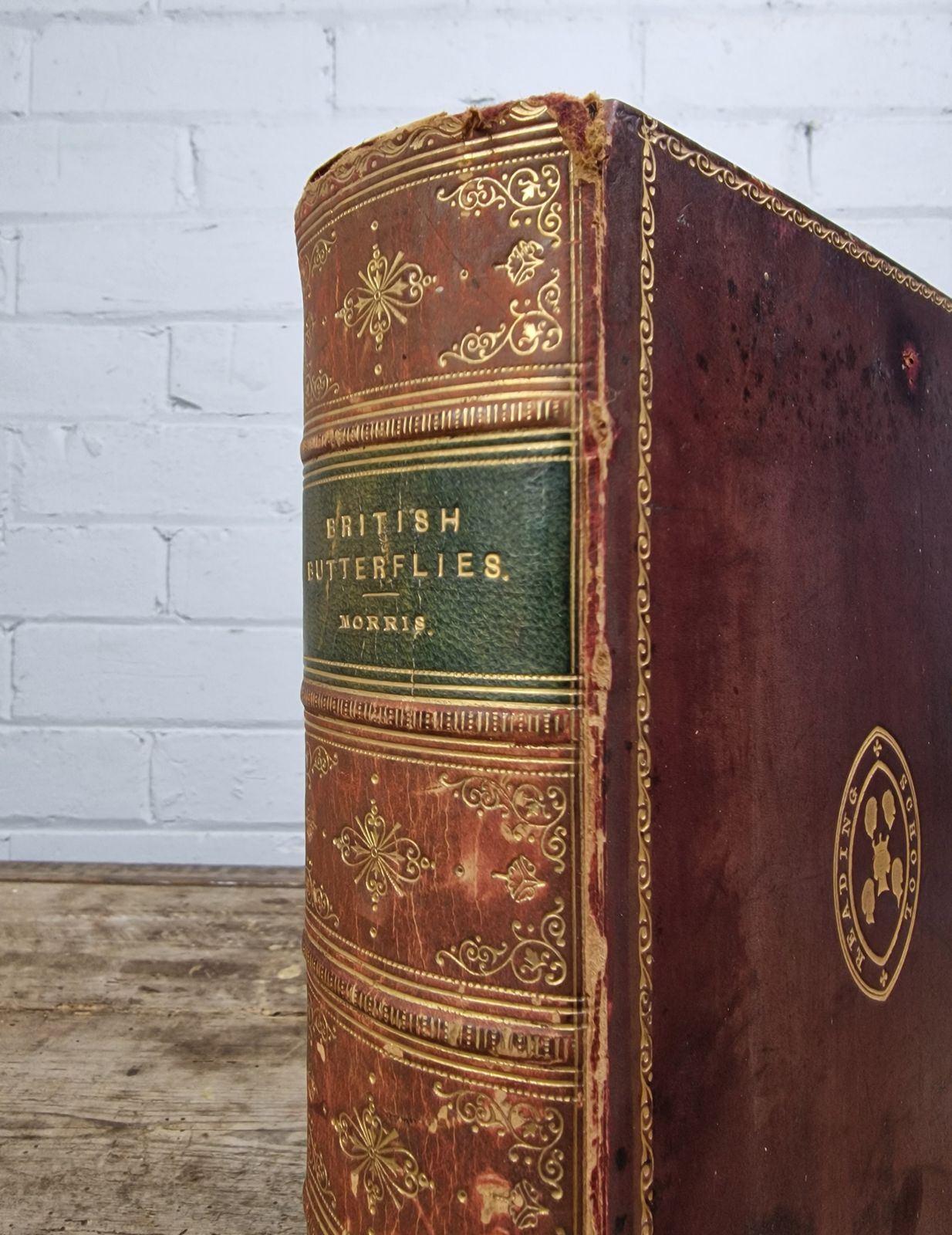 A History Of British Butterflies  Morris (Rev. F.O.) photo 200.0