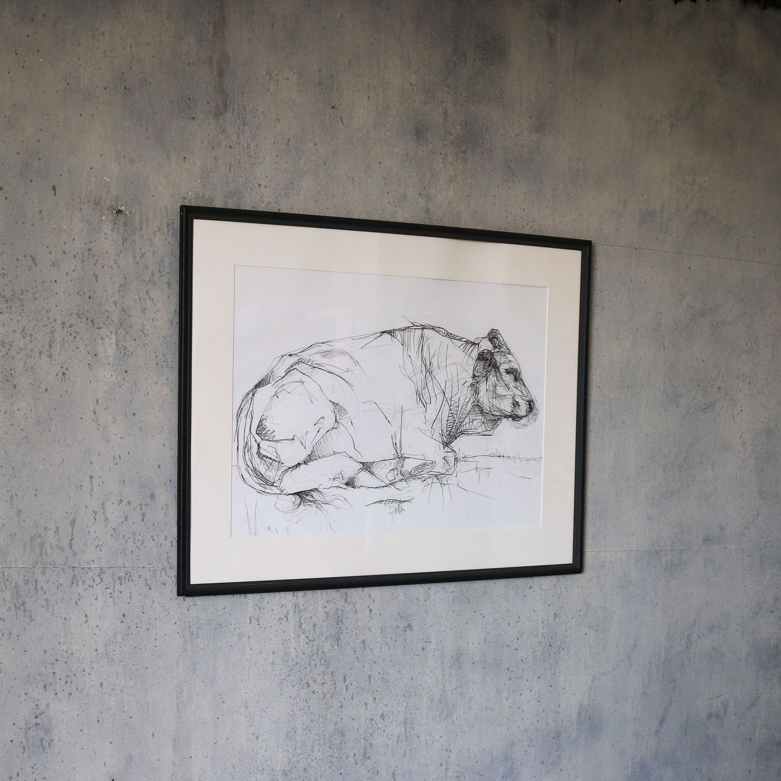 Toro – Original Contemporary Pencil Sketch By Sally Newton, Framed Artwork photo Art
