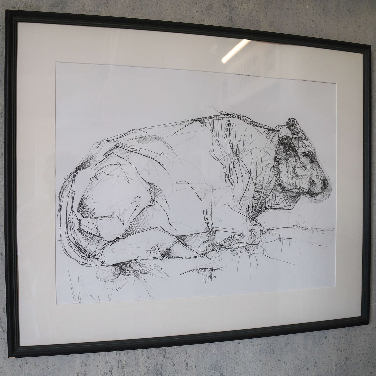 Toro – Original Contemporary Pencil Sketch By Sally Newton, Framed Artwork photo vintage