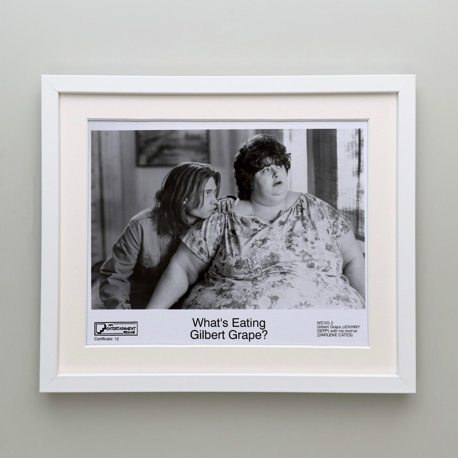 What's Eating Gilbert Grape 1993 Publicity Film Movie Press Still Framed photo Art