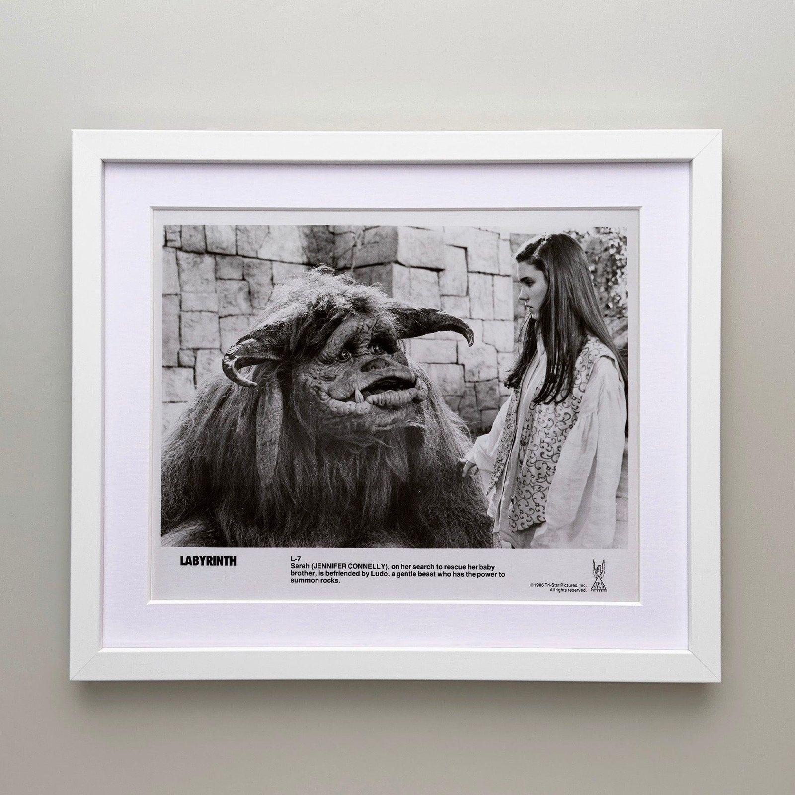 Labyrinth 1986 Publicity Film Movie Press Still Framed photo for sale