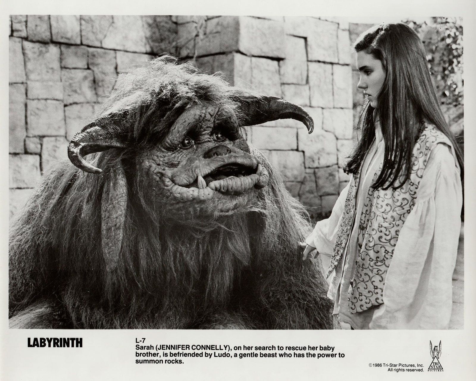 Photo de presse encadrée, Labyrinth, 1986 photo vinterior