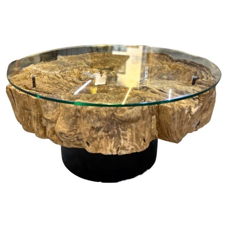 Modern Organic Driftwood Coffee Table With Glass Top, Black Steel Base, Idn 2025