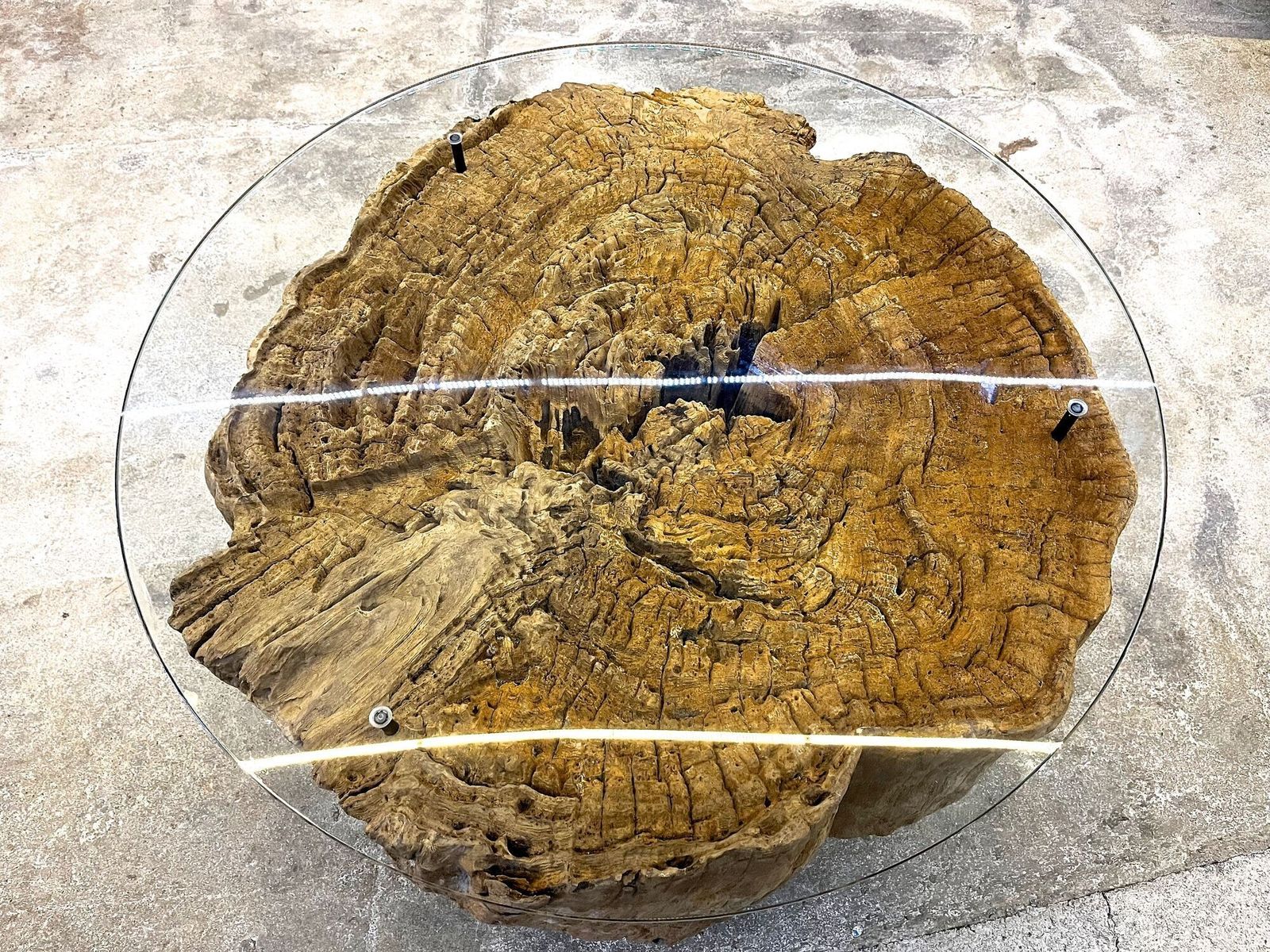 Modern Organic Driftwood Coffee Table With Glass Top, Black Steel Base, Idn 2025 photo for sale