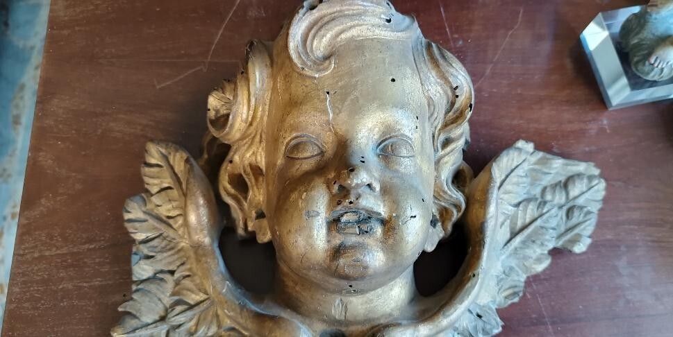 Large Antique Cherub Head, 17th Century Italian Baroque Style photo for sale