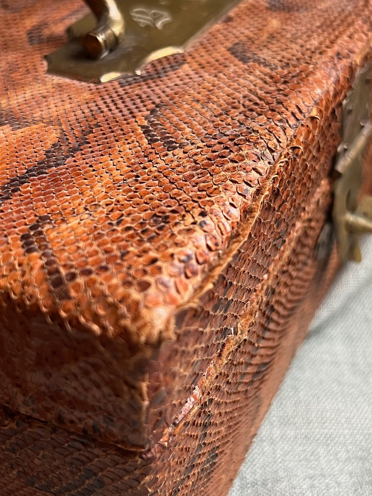 photo furniture Boîte à bijoux d'époque en peau de serpent, France