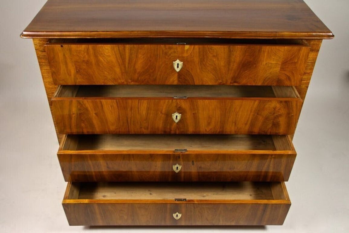 19th Century Nutwood Biedermeier Chest Of Drawers/ Commode, Austria, Ca. 1840 photo 6150.0