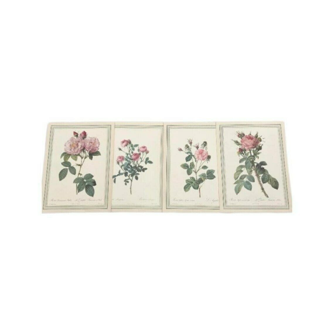 Botanical Print Wall Art Roses Set Original 1960s Vintage Rose Antique Rose Prints Set Victorian Art Wall Cottage Chic Green And Pink