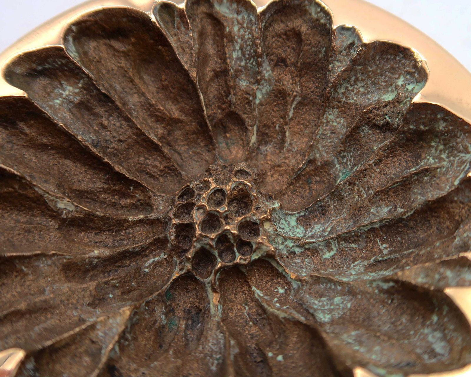 French Bronze Paperweight Sculpture By Monique Gerber, 1970s / Herbarium, Art, Flower, Home Decor photo Home Decor
